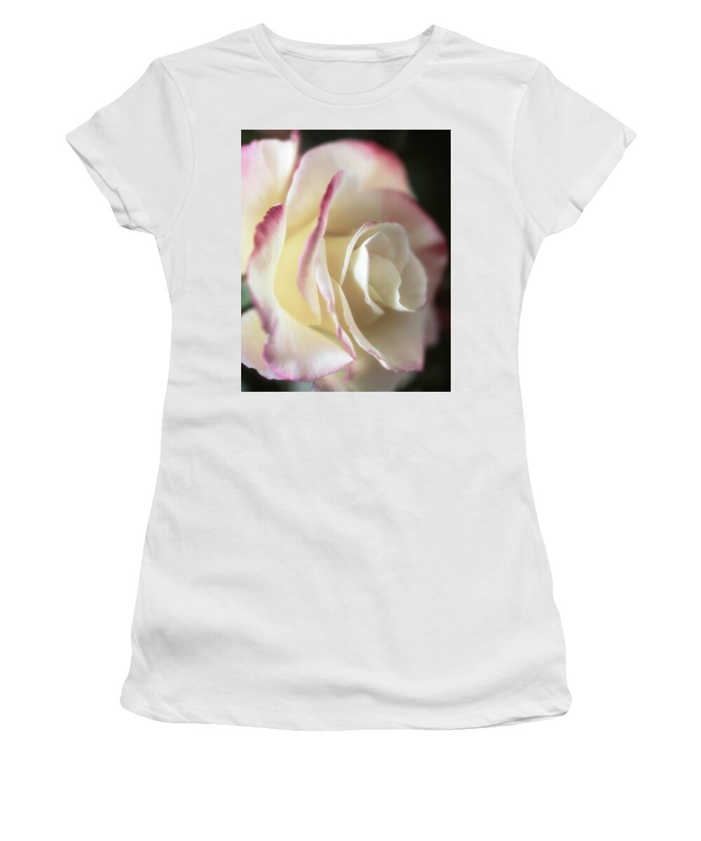 Rose Women's T-Shirt featuring the photograph Back-lit Beauty by TL Wilson Photography by Teresa Wilson