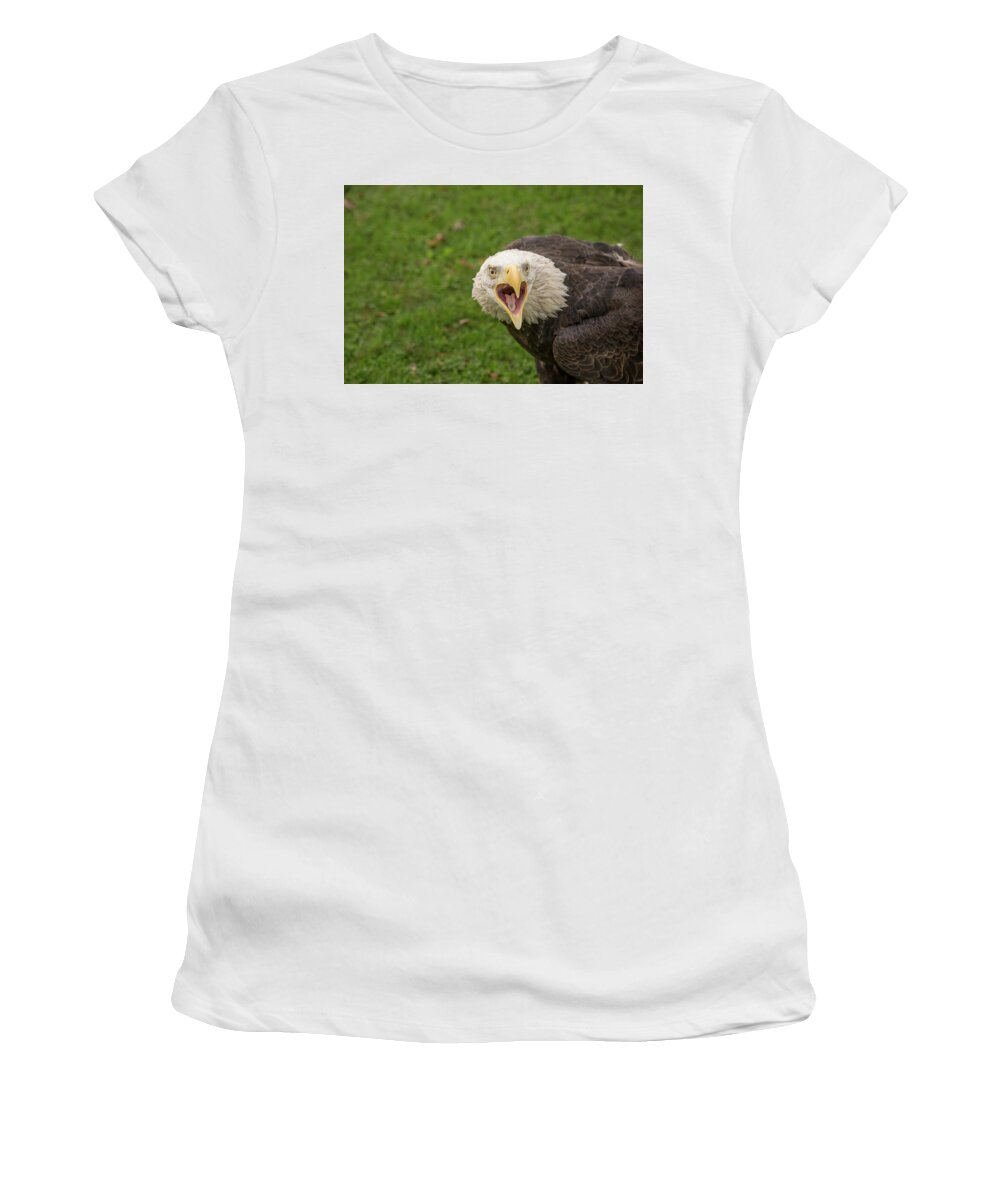 Haliaeetus Leucocephalus Women's T-Shirt featuring the photograph Bald Eagle by Lindley Johnson