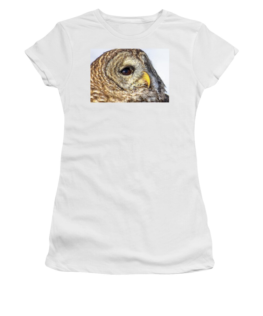 Owl Women's T-Shirt featuring the pyrography Bard Owl by Michelle Wittensoldner