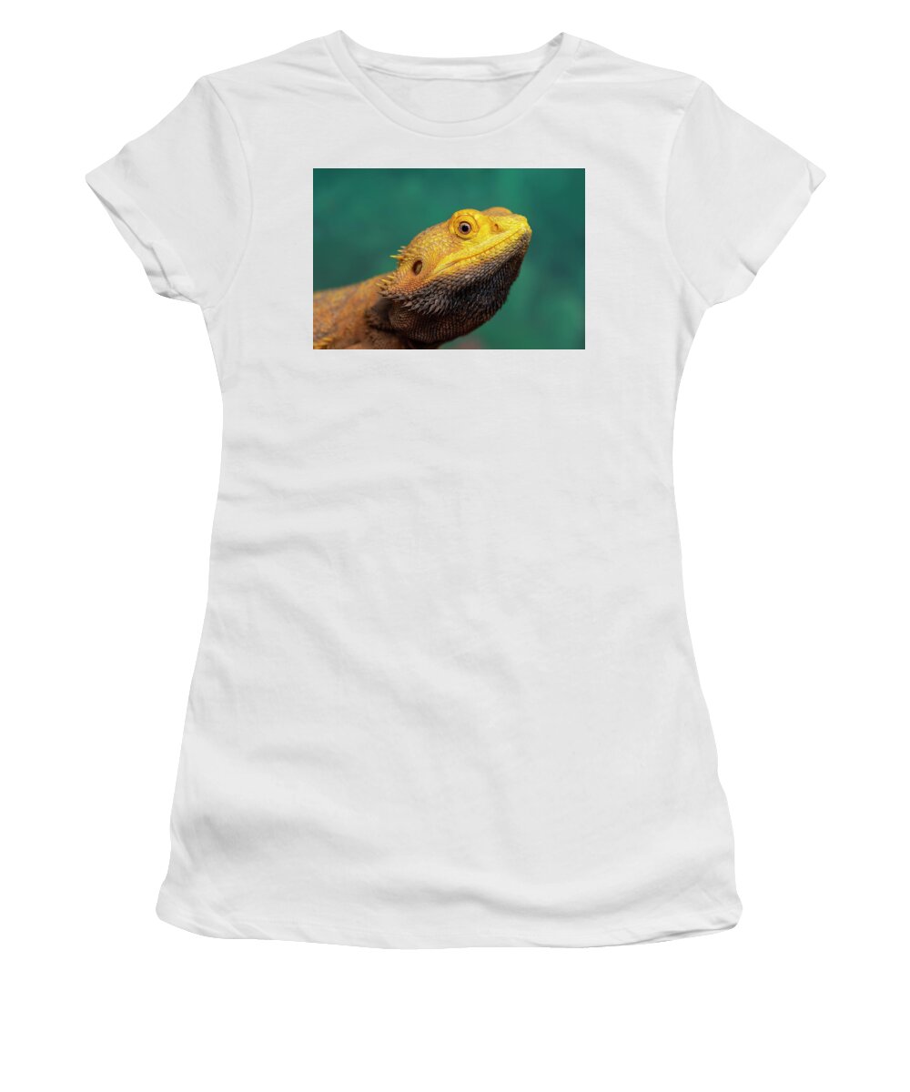 Bearded Dragon Women's T-Shirt featuring the photograph Bearded Dragon 2 by Steev Stamford
