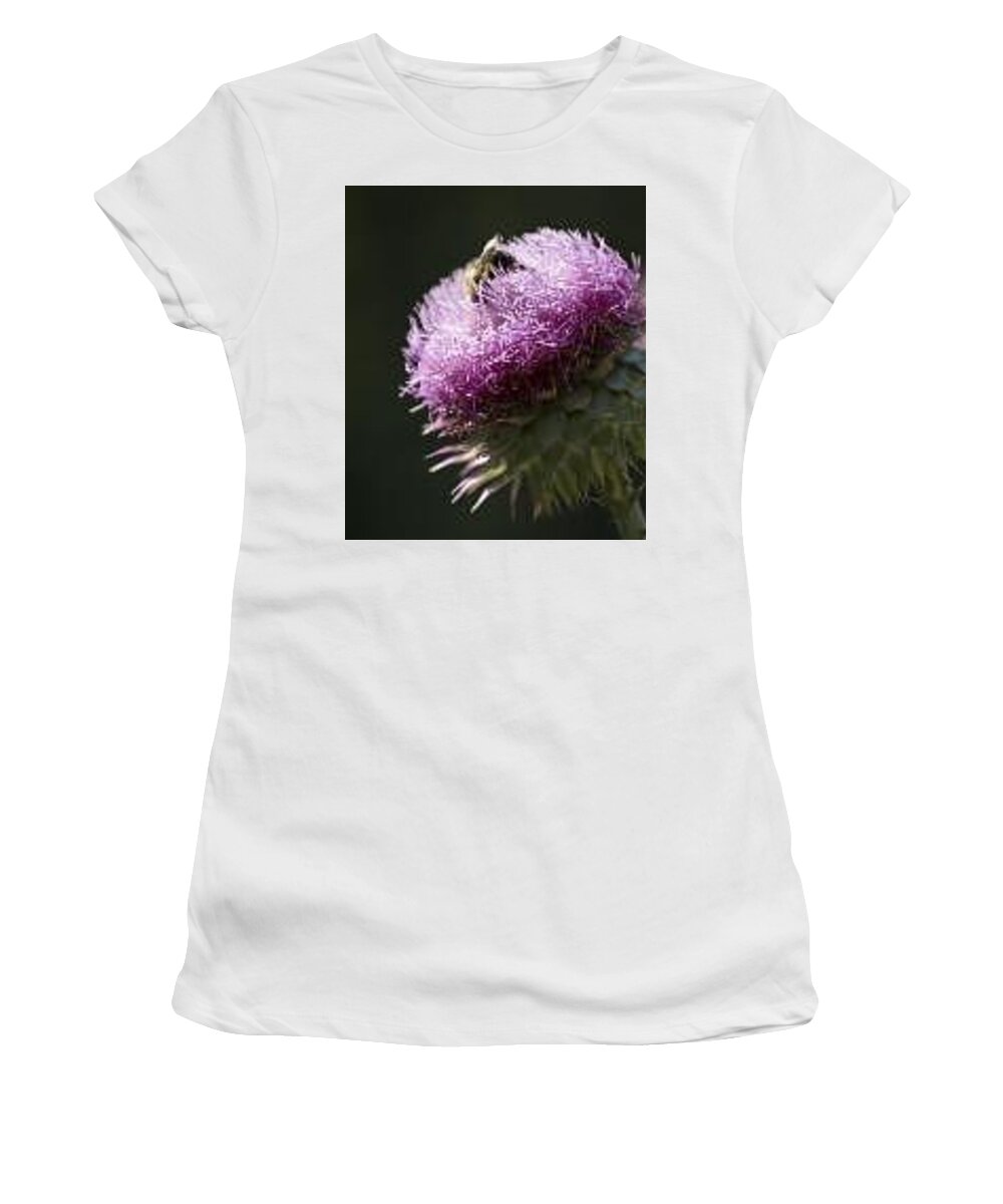 Bee Women's T-Shirt featuring the photograph Bee On Thistle by Nancy Ayanna Wyatt