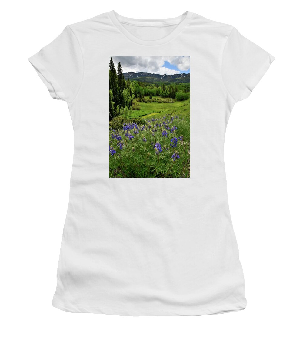 Highway 50 Women's T-Shirt featuring the photograph Big Cimarron Lupine by Ray Mathis