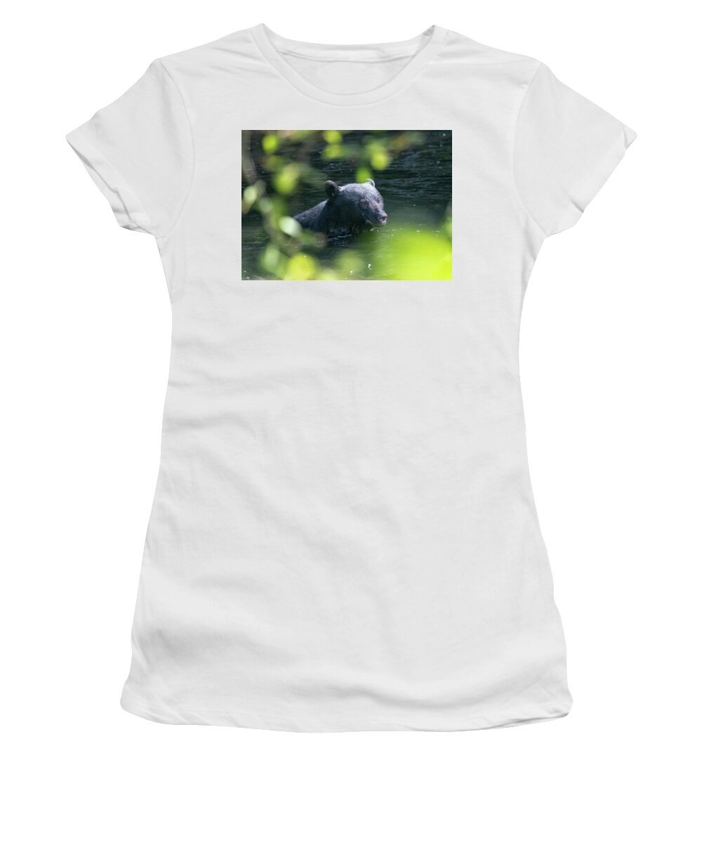 Black Bear Women's T-Shirt featuring the photograph Black Bear Cooling Off by Randy Hall