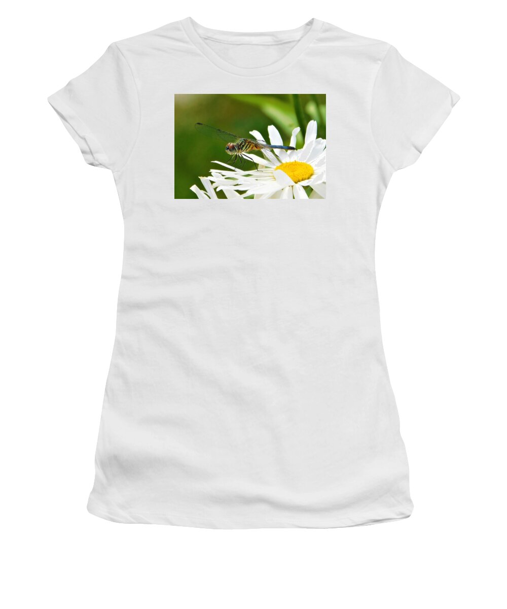 - Blue Tailed Dragonfly On A Daisy Women's T-Shirt featuring the photograph - Blue Tailed Dragonfly On a Daisy by THERESA Nye