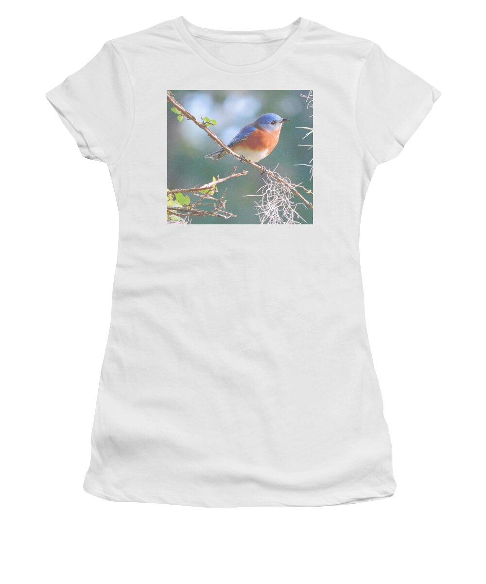 Bluebird Women's T-Shirt featuring the photograph Bluebird In Dixie by Tami Quigley