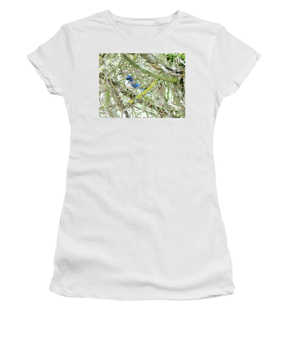 Bluejay Women's T-Shirt featuring the photograph Bluejay on a Snowy Day by Scott Cameron