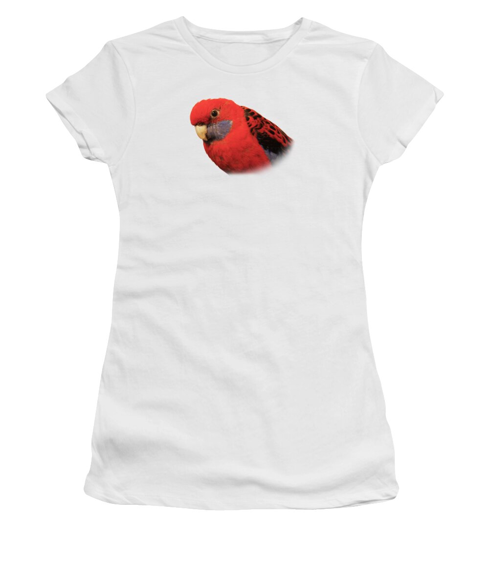 T-shirt Women's T-Shirt featuring the photograph Bobby the Crimson Rosella on Transparent background by Terri Waters