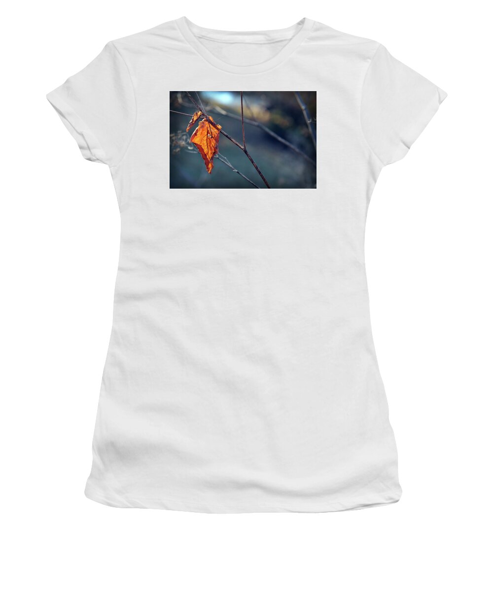 Light Women's T-Shirt featuring the photograph Captured in Light by Michelle Wermuth