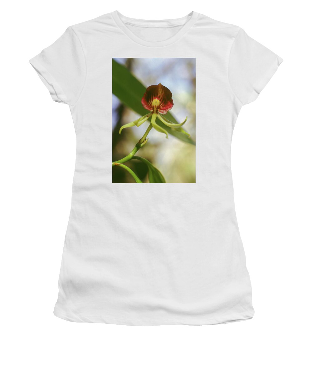 Orchid Women's T-Shirt featuring the photograph Clamshell Orchid by Paul Rebmann