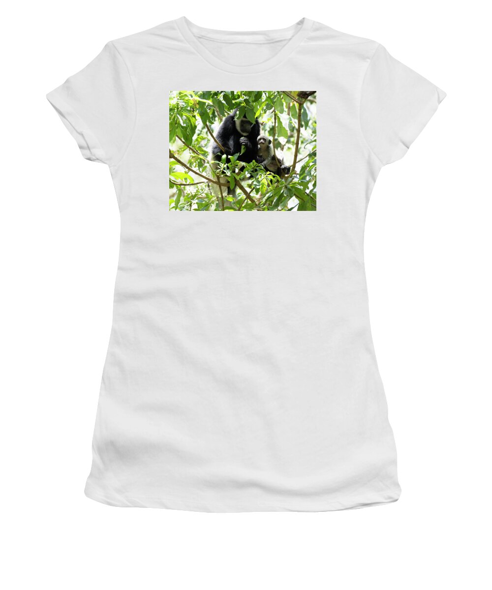 Colobus Women's T-Shirt featuring the photograph Colobus Monkey with baby by Patrick Nowotny
