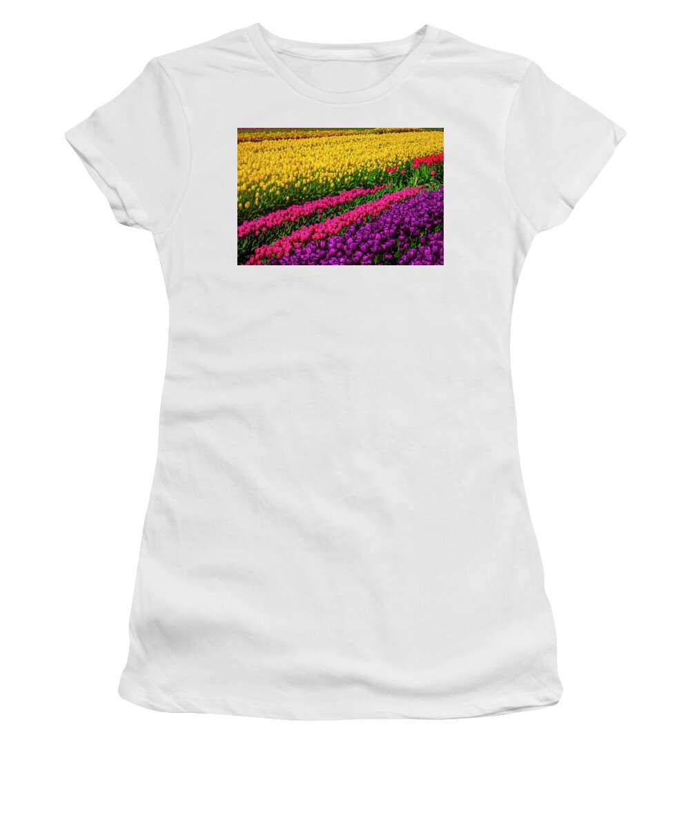 Tulip Women's T-Shirt featuring the photograph Colorful Rows Of Spring Tulips by Garry Gay