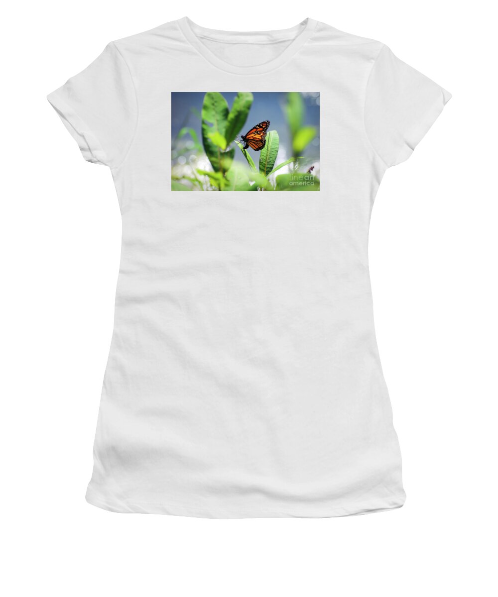 Monarch Butterfly Women's T-Shirt featuring the photograph Egg Laying Monarch Butterfly by Kerri Farley
