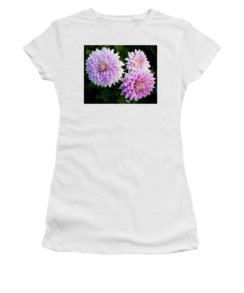 Dahlia Women's T-Shirt featuring the photograph Ferncliff Inspiration Trio by Todd Kreuter