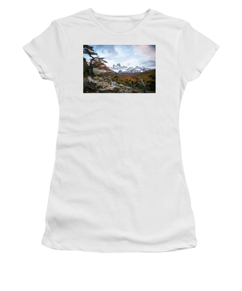 Patagonia Women's T-Shirt featuring the photograph Fitz by Ryan Weddle