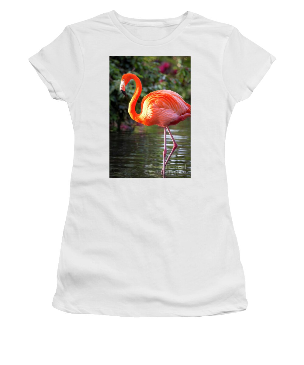Pink Women's T-Shirt featuring the photograph Flamingo V by Brian Jannsen