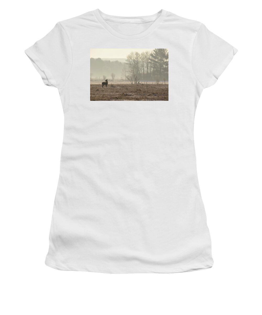 Deer Women's T-Shirt featuring the photograph Foggy Winter Morning by Brook Burling
