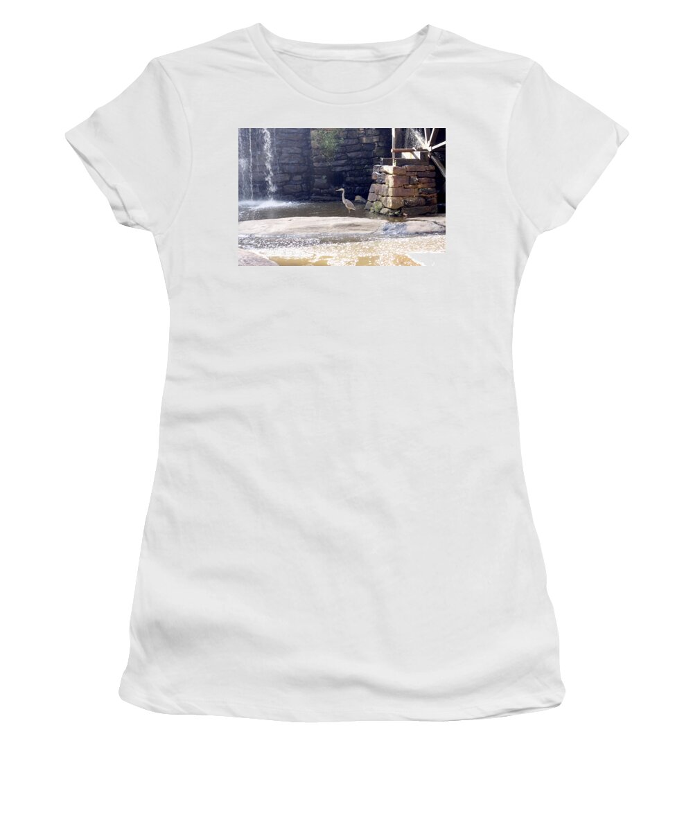 Heron Women's T-Shirt featuring the photograph Frog Stalking by David Zimmerman