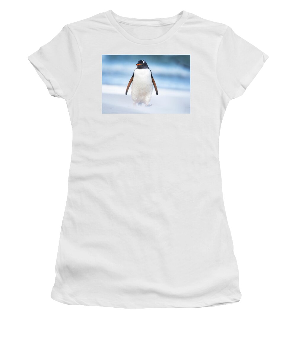 Heike Odermatt Women's T-Shirt featuring the photograph Gentoo Penguin On Windy Beach by Heike Odermatt
