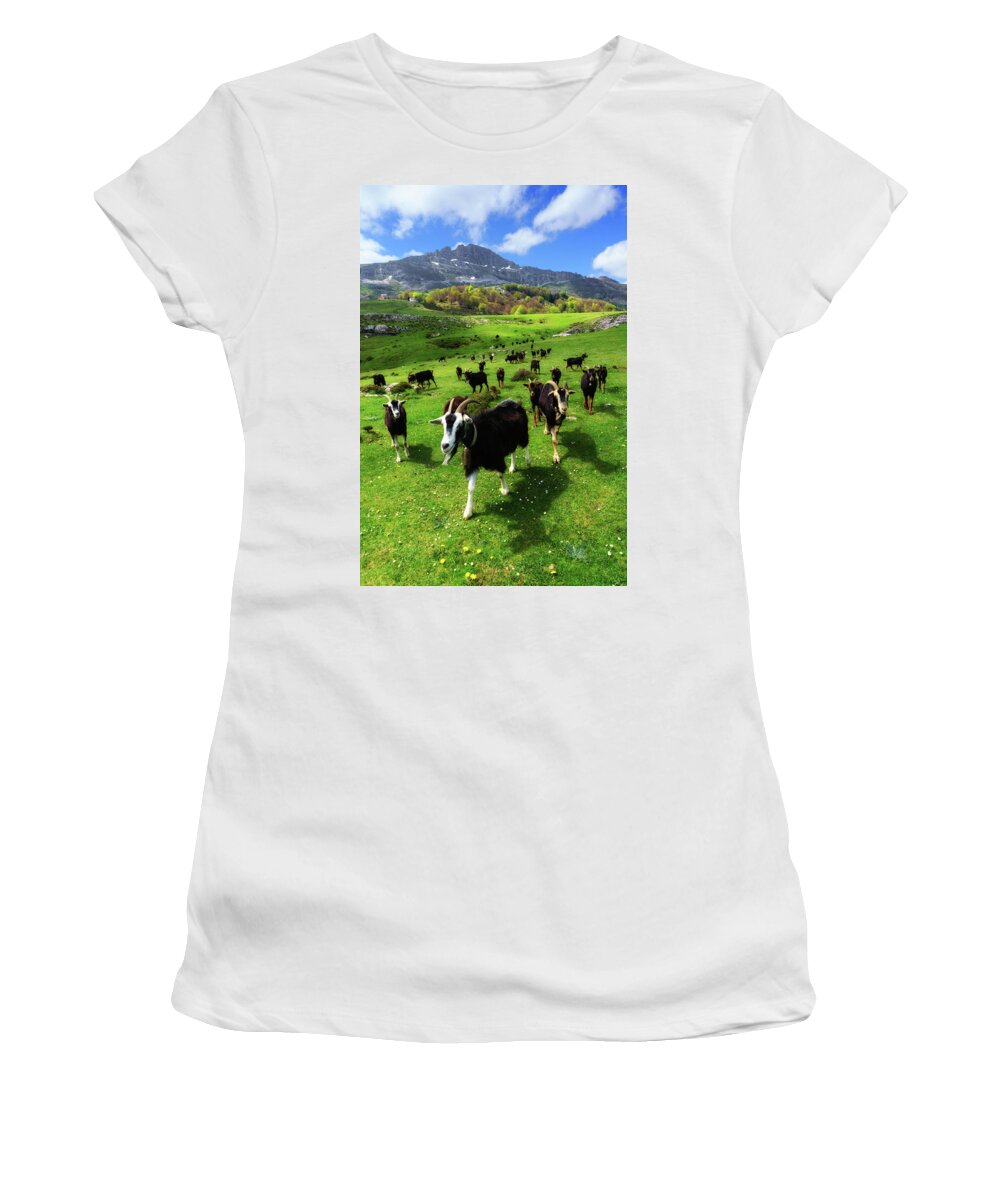 Goat Women's T-Shirt featuring the photograph Goats by Mikel Martinez de Osaba