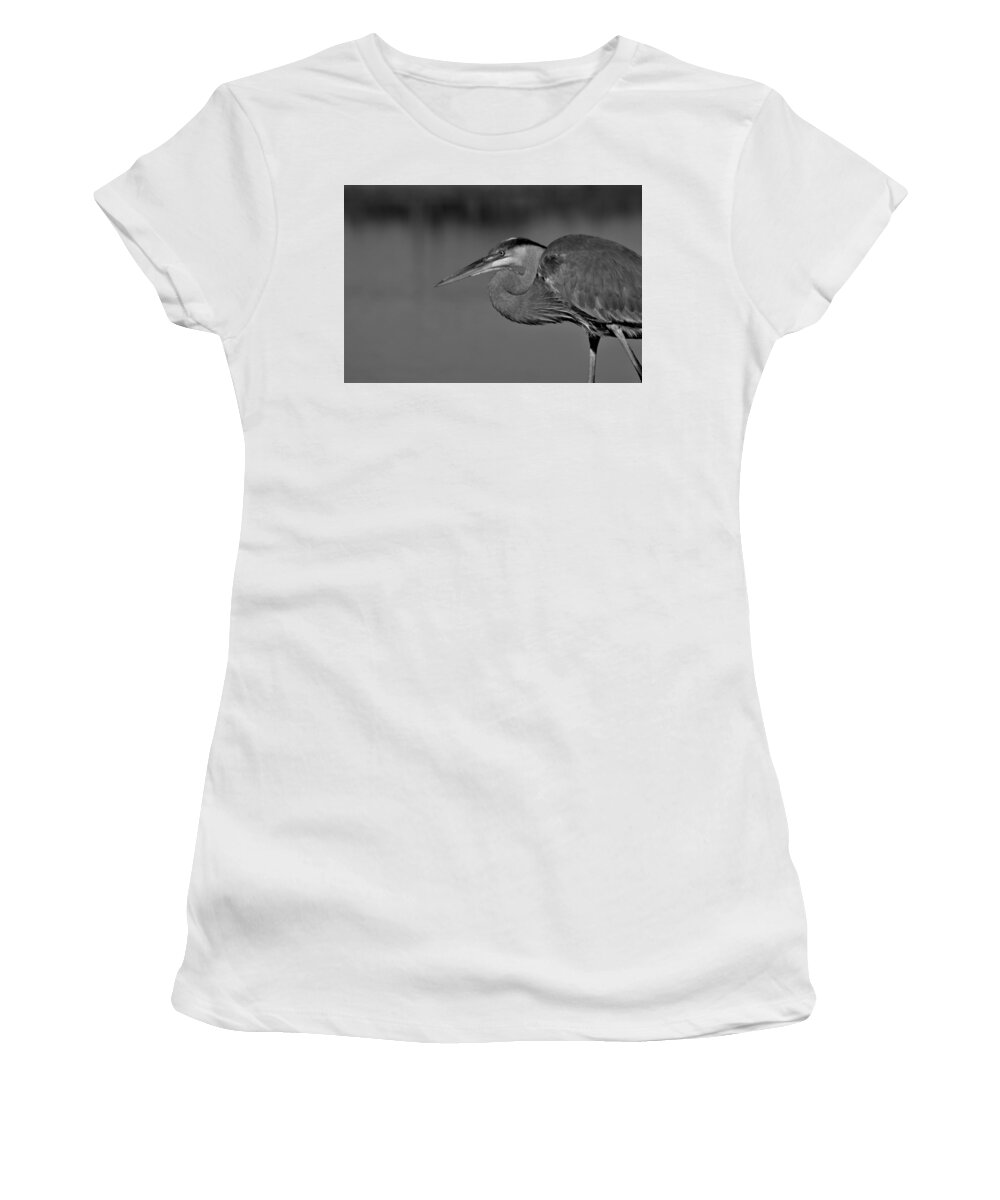 Great Blue Heron In Black And White Women's T-Shirt featuring the photograph Great Blue Heron in Black and White by Warren Thompson