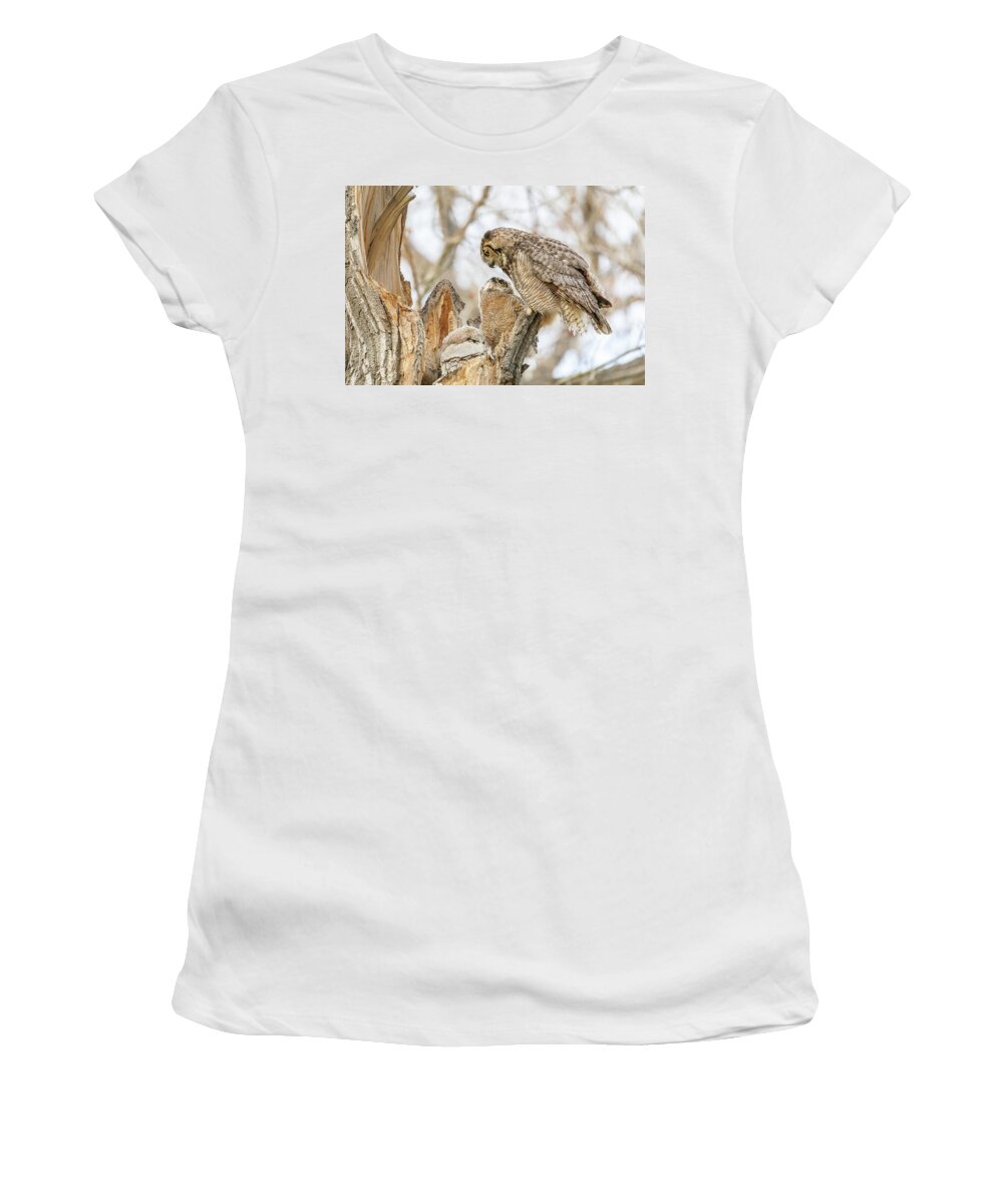 Owl Women's T-Shirt featuring the photograph Great Horned Owl and Owlet Enjoy a Moment by Tony Hake