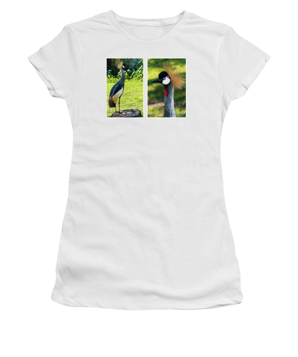 Gulf Women's T-Shirt featuring the photograph Grey Crowned Crane Gulf Shores Al Collage 10 Diptych by Ricardos Creations