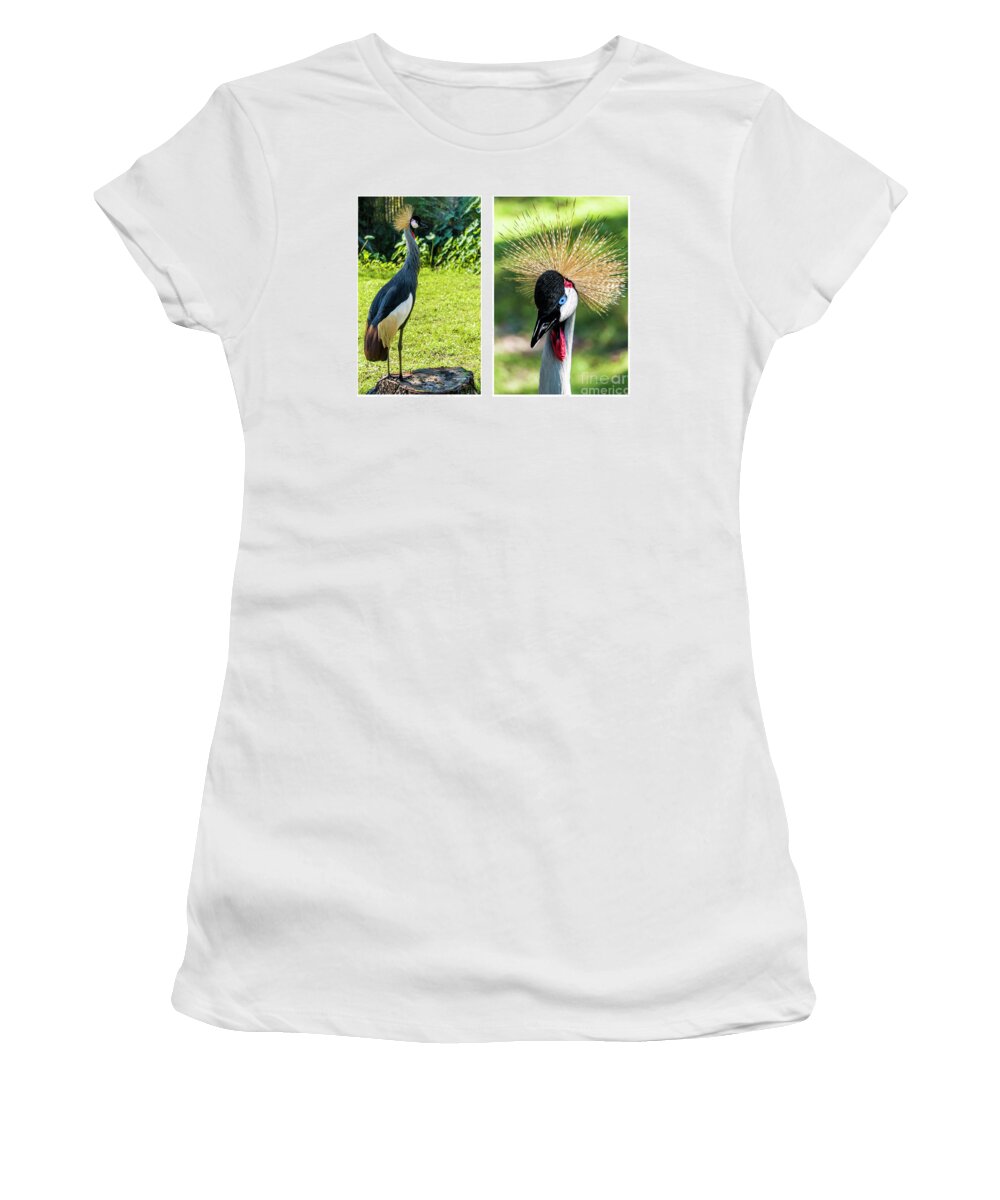 Gulf Women's T-Shirt featuring the photograph Grey Crowned Crane Gulf Shores Al Collage 8 Diptych by Ricardos Creations