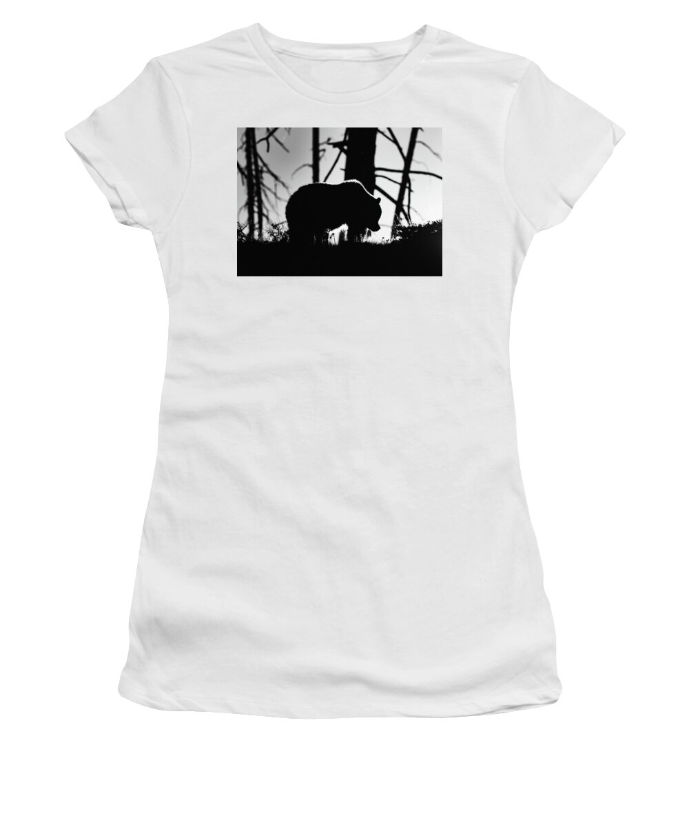 Grizzly Bear Women's T-Shirt featuring the photograph Grizzly Silhouette by Max Waugh