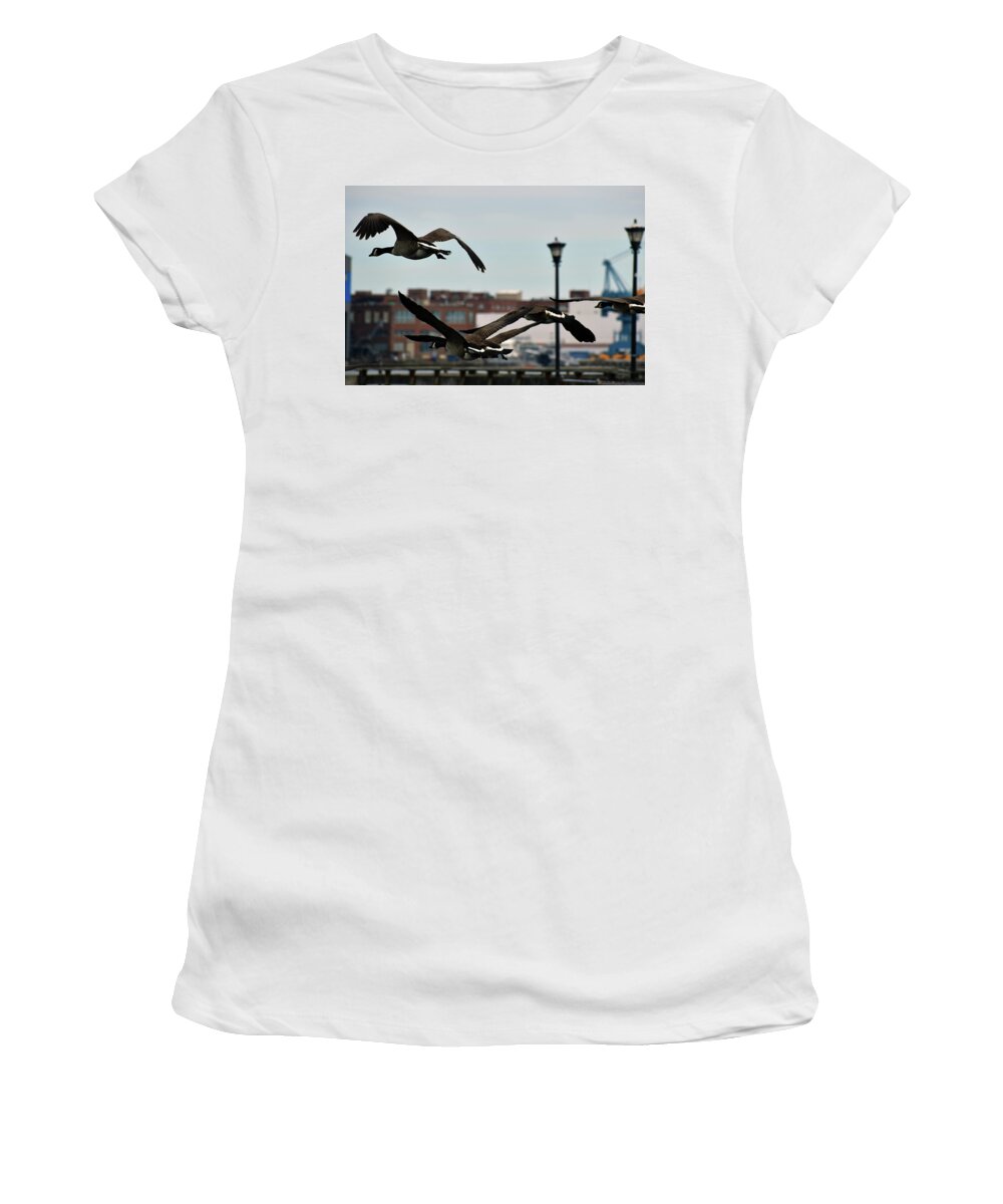 Bird Women's T-Shirt featuring the photograph Heralding Springs Arrival by Vicky Edgerly