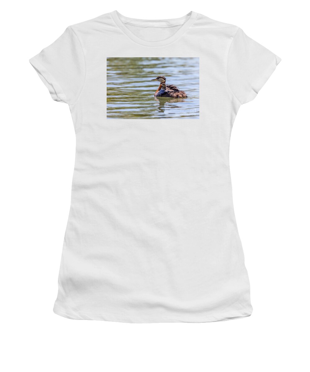 Photography Women's T-Shirt featuring the photograph Hitchhiker Grebe Chick by Alma Danison