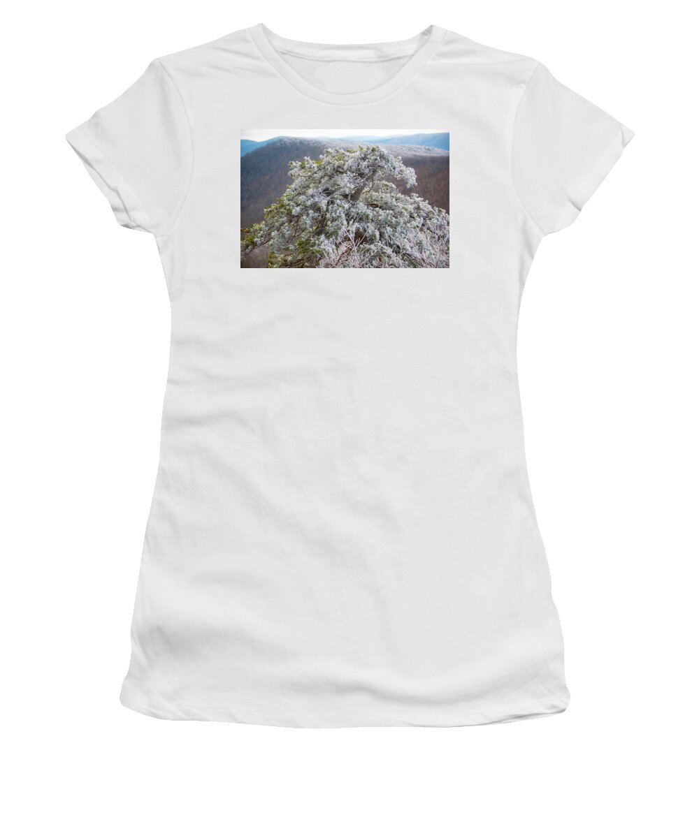 Blue Ridge Women's T-Shirt featuring the photograph Hoarfrost on Trees by Mark Duehmig