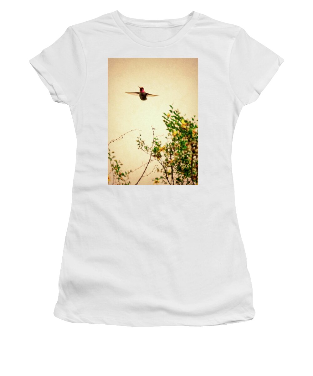 Costa's Hummingbird Women's T-Shirt featuring the photograph Hummingbird and Creosote Blooming by Judy Kennedy