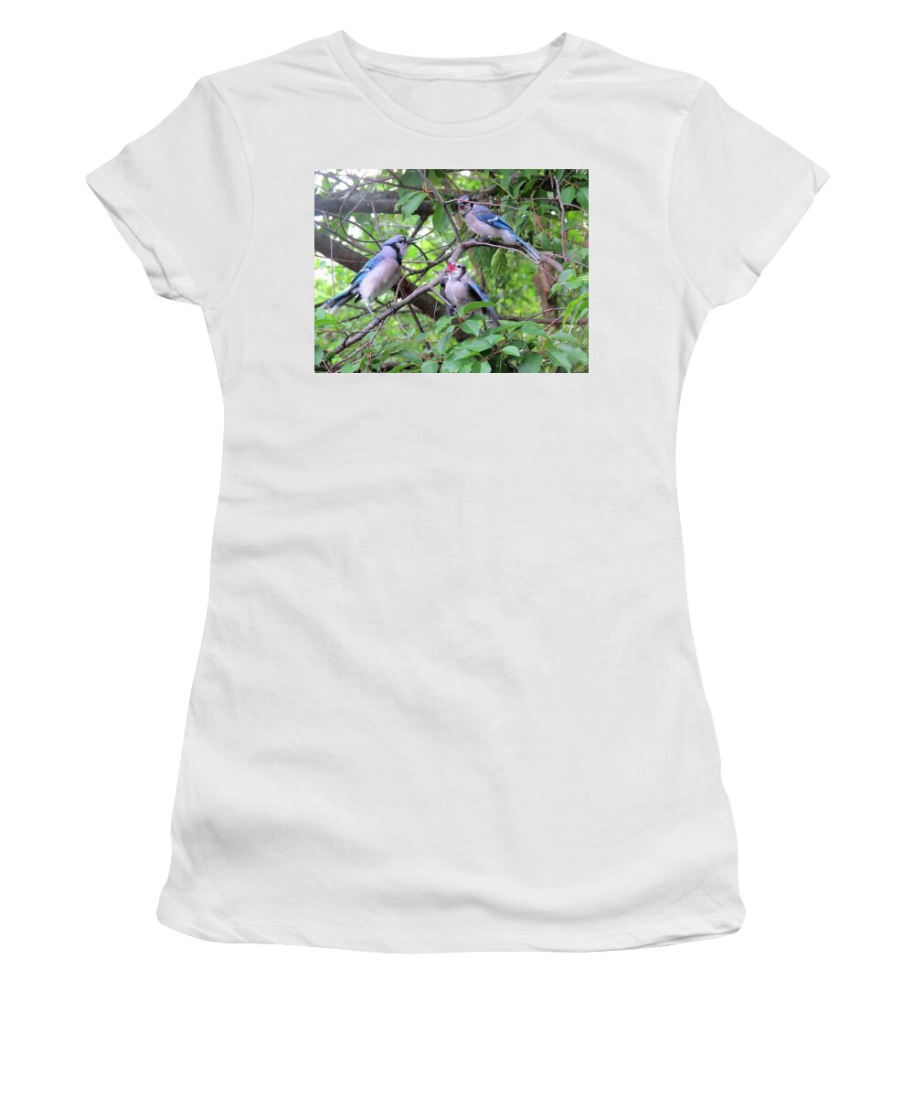 Blue Jays Women's T-Shirt featuring the photograph I Fed Him Last Time by Linda Stern