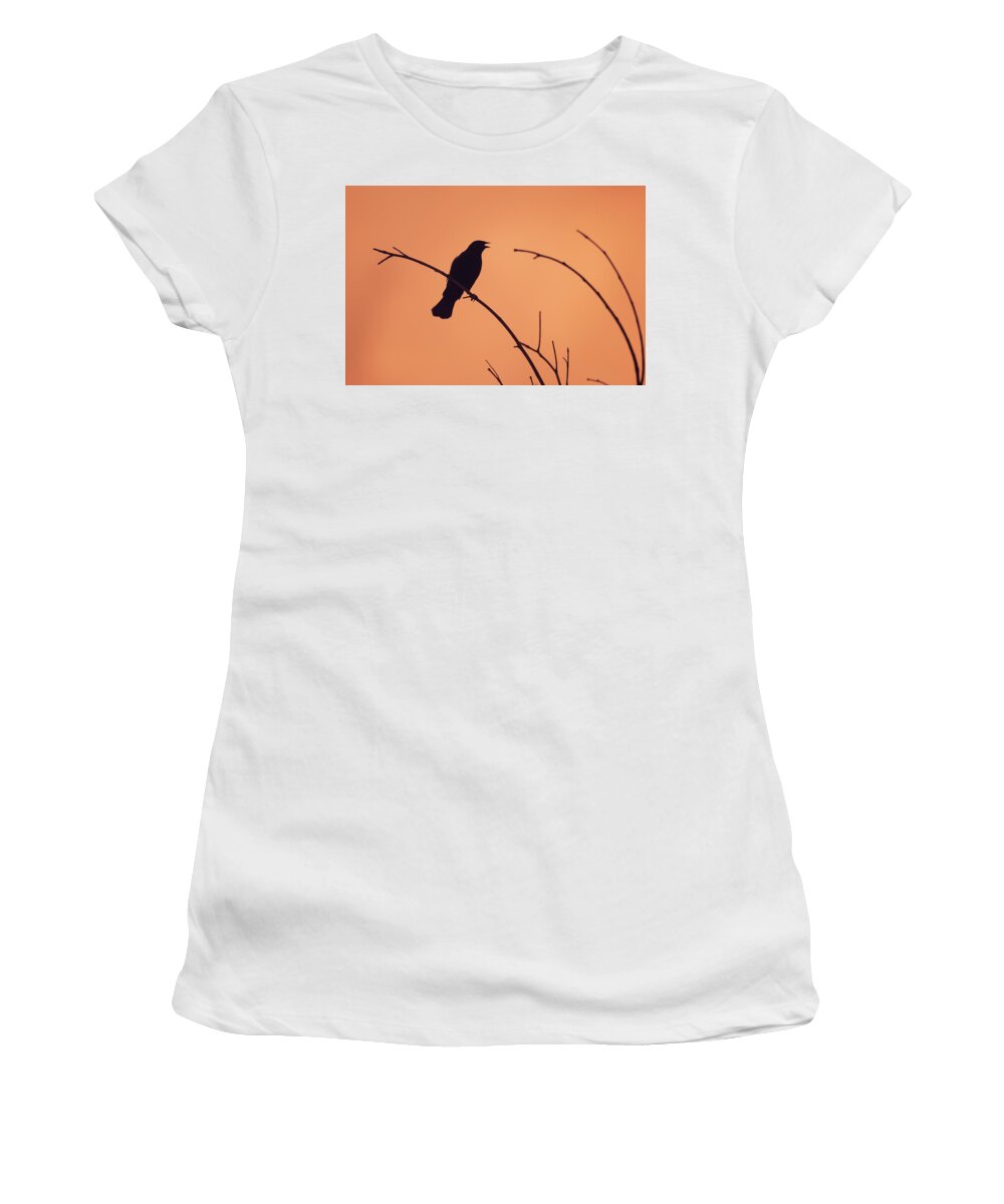 Silhouette Bird Birding Infrared 720nm Ir Wildlife Wild-life Wild Life Outside Outdoors Nature Brian Hale Brianhalephoto Redwing Blackbird Women's T-Shirt featuring the photograph Infrared Silhoutte by Brian Hale