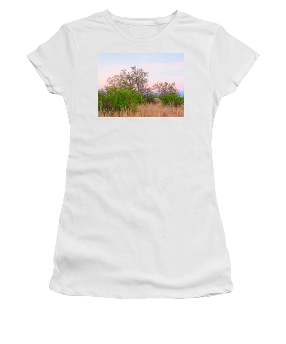 Affordable Women's T-Shirt featuring the photograph Ironwood Trees After Sundown by Judy Kennedy