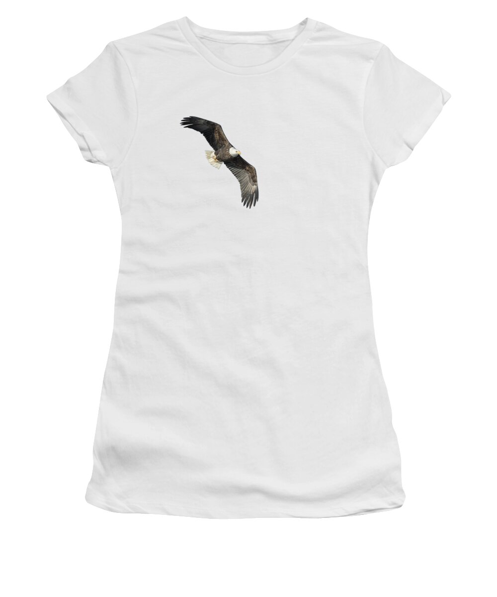 Bald Eagle Women's T-Shirt featuring the photograph Isolated Bald Eagle 2018-4 by Thomas Young