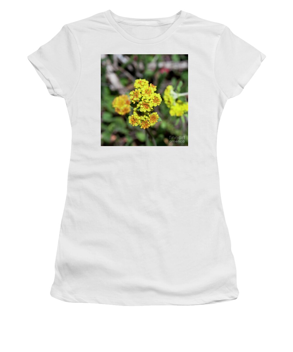 Grand Mesa Women's T-Shirt featuring the photograph Kannah Creek Sulfur Flower by Julia McHugh