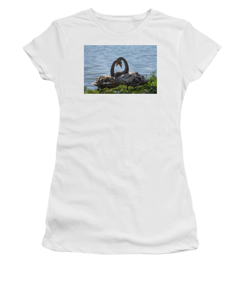 Birds Women's T-Shirt featuring the photograph Light mottled grey colour two swans by Zina Stromberg