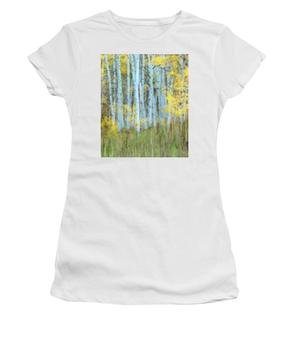 Colorado Women's T-Shirt featuring the photograph Lines by Judi Kubes