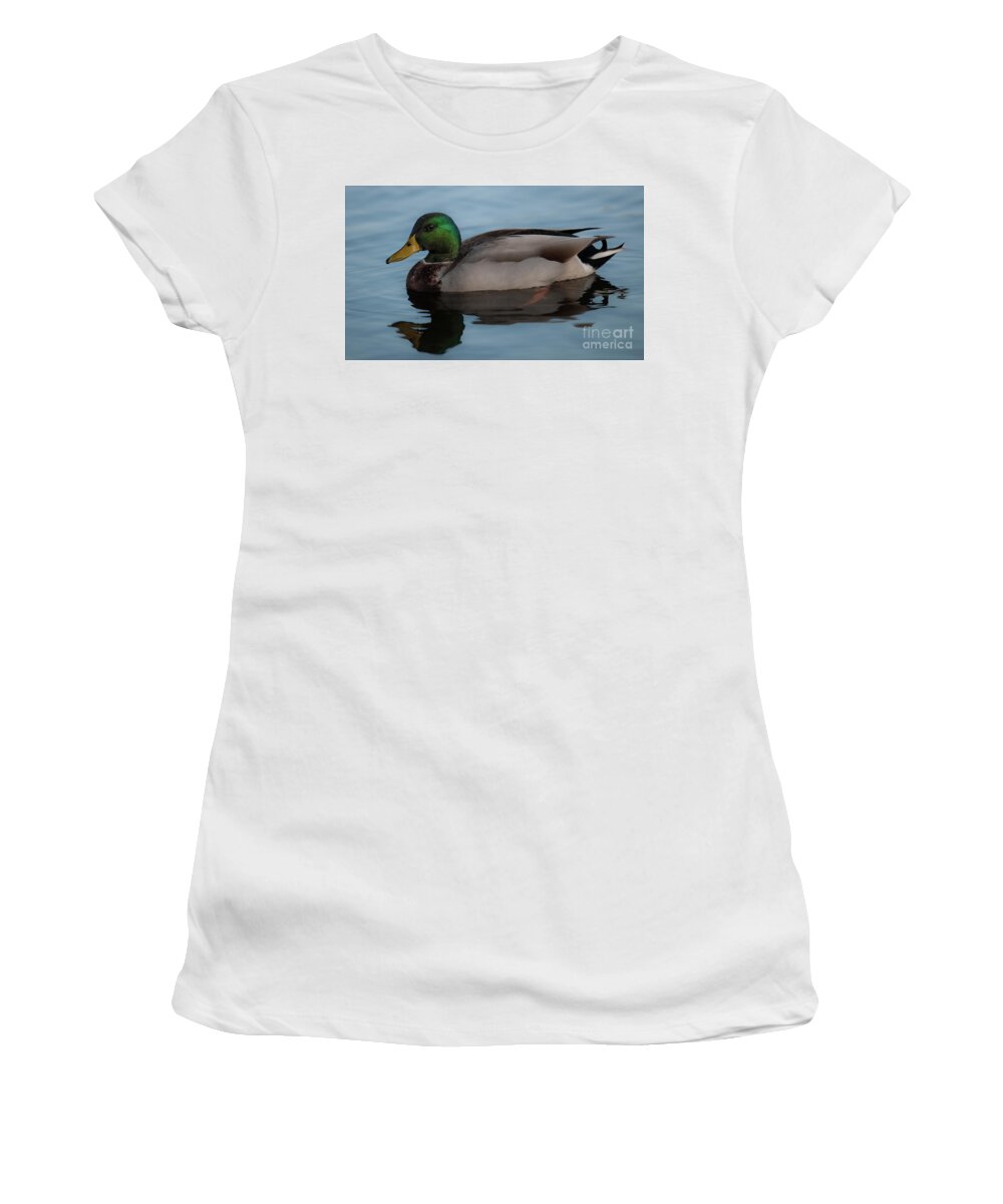 Duck Women's T-Shirt featuring the photograph Mallard Duck - Lowcountry by Dale Powell