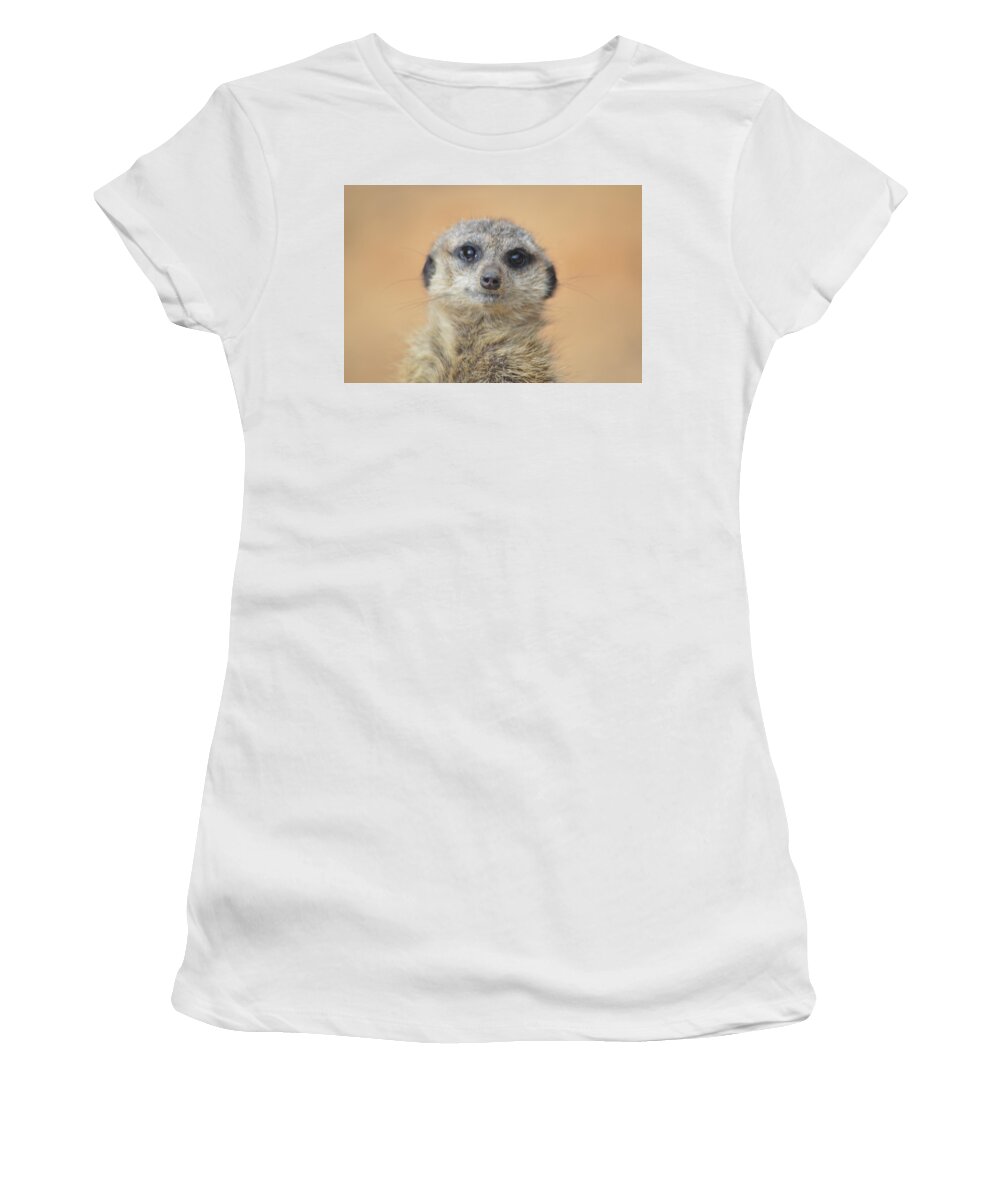 Meerkat Women's T-Shirt featuring the photograph Meerkat by Lisa Burbach
