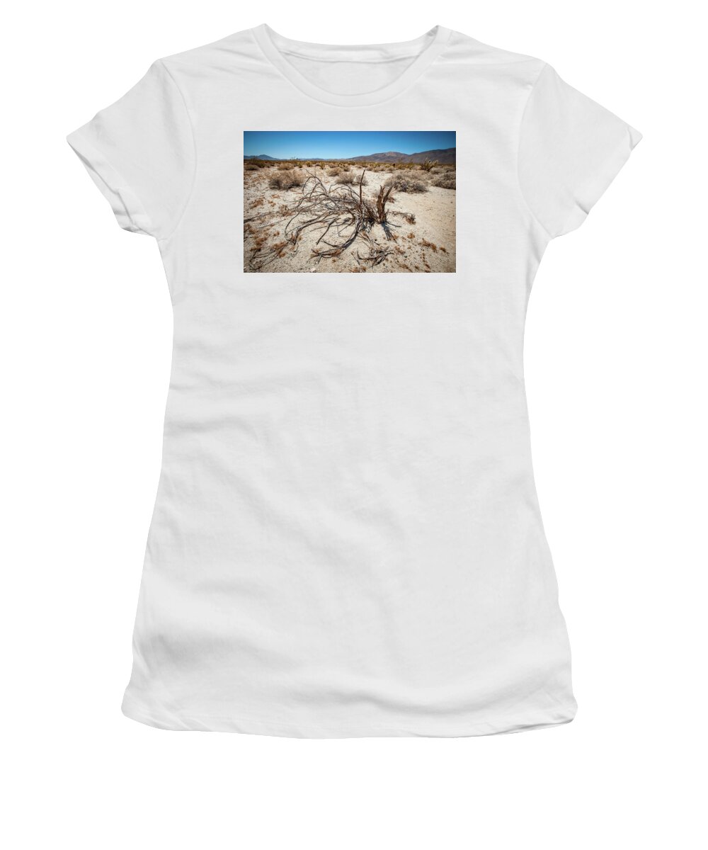 Anza-borrego Desert State Park Women's T-Shirt featuring the photograph Mesquite in the Desert Sun by Mark Duehmig