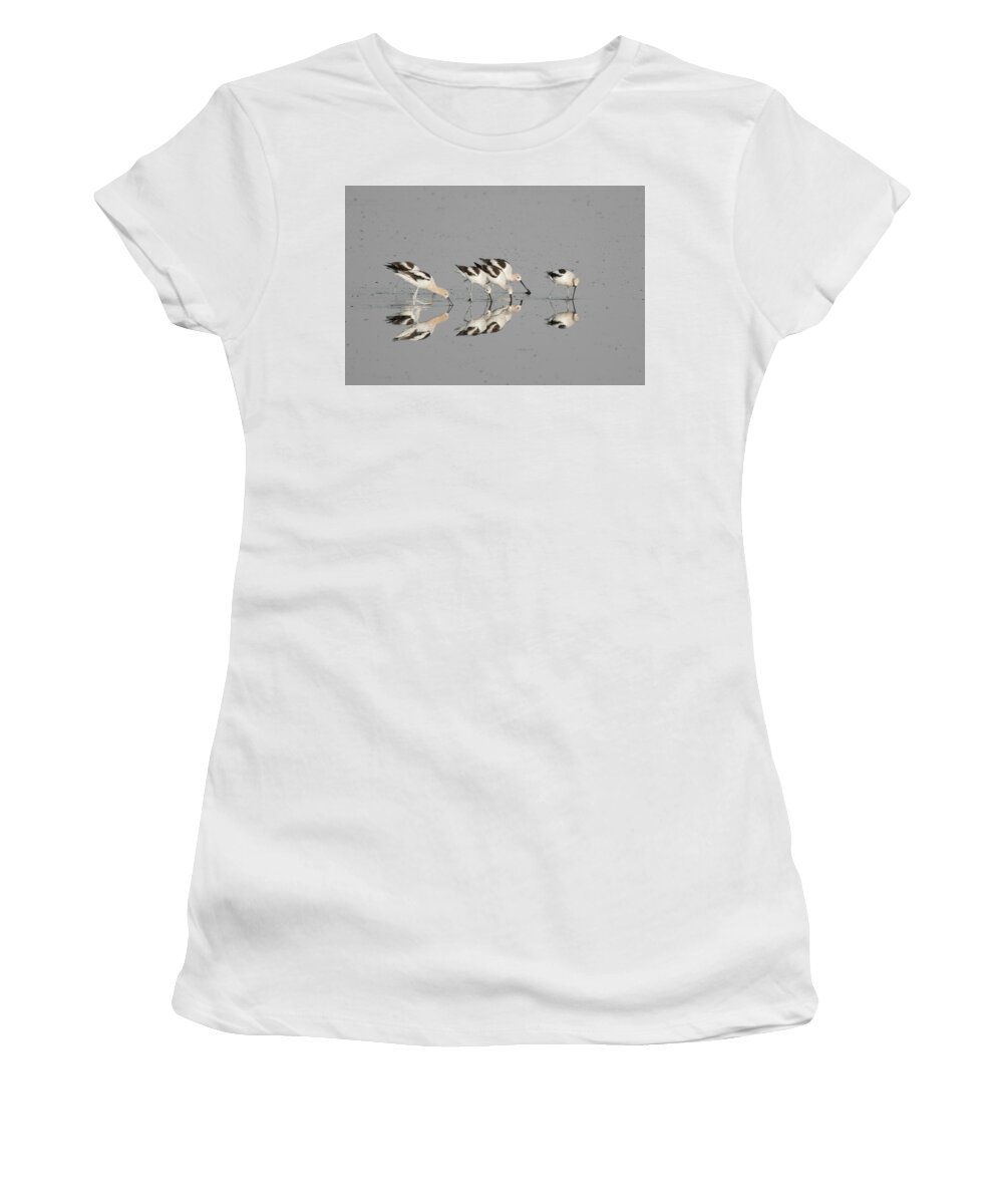 Avocets Women's T-Shirt featuring the photograph Mirror Image by Donald Brown