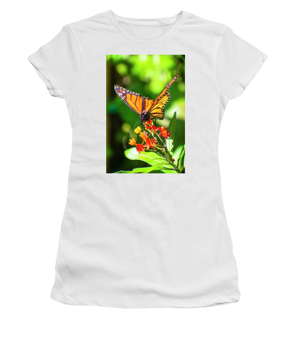 Butterfly Women's T-Shirt featuring the digital art Monarch Butterfly Two by Anthony Ellis