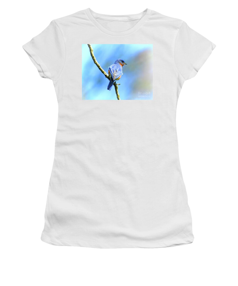 Bluebird Women's T-Shirt featuring the photograph Mr Bluebird - Male Bluebird Art by Kerri Farley
