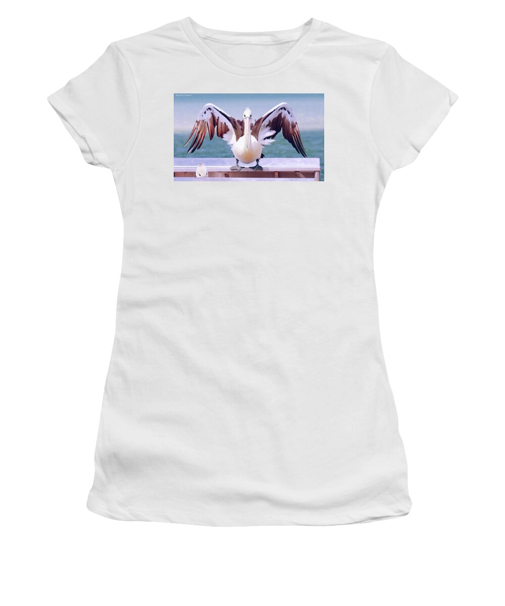 Pelicans Women's T-Shirt featuring the digital art Pelican wings of beauty 9724 by Kevin Chippindall