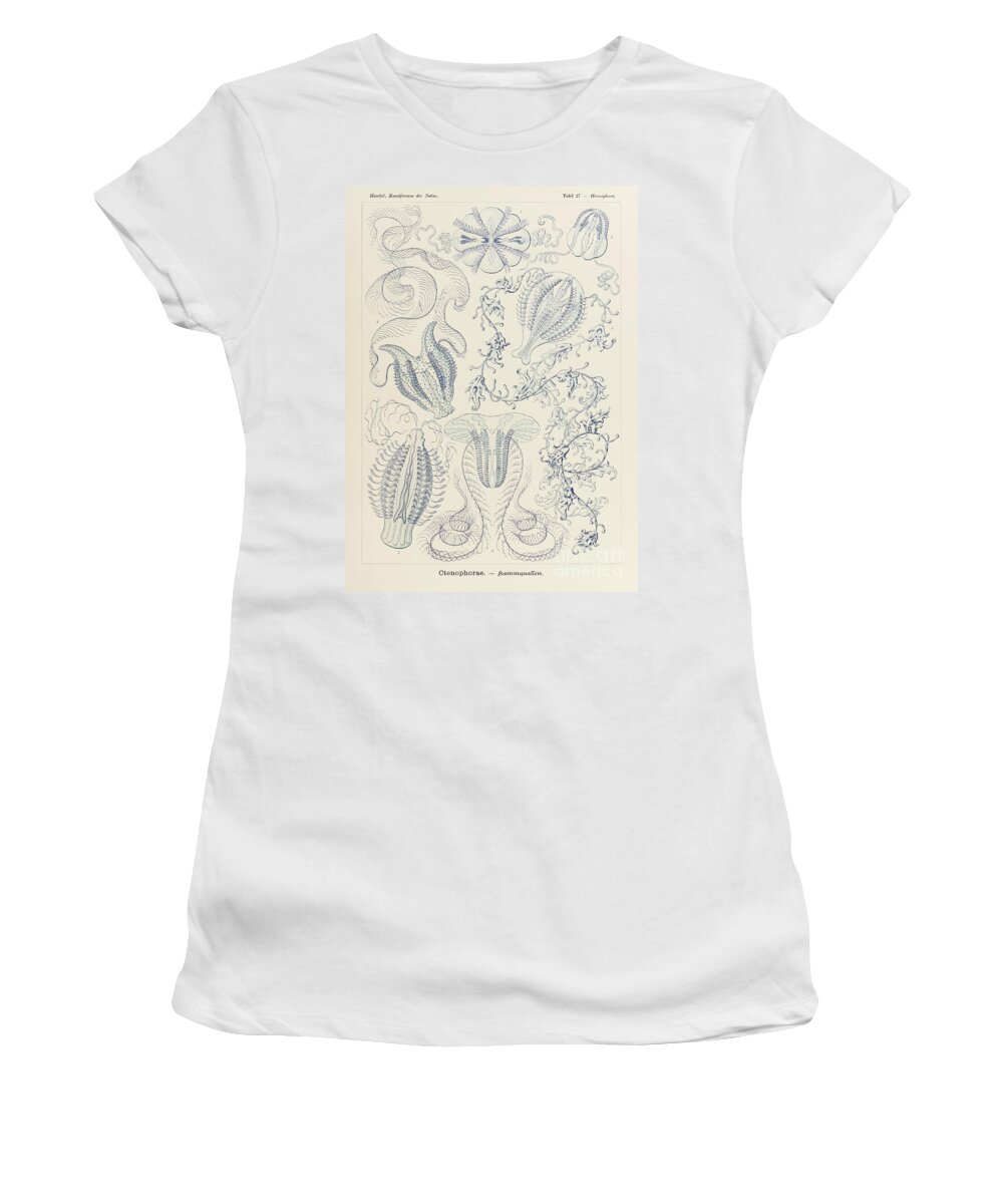 Ernst Haeckel Women's T-Shirt featuring the drawing Plate 27 Hormiphora Ctenophorae By Ernst Haeckel by Ernst Haeckel