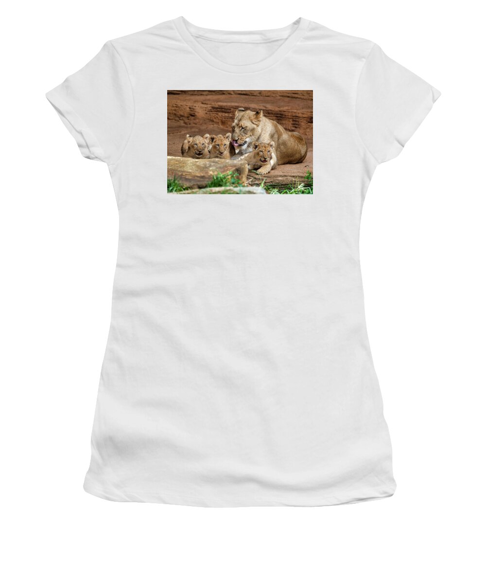 Lions Women's T-Shirt featuring the photograph Pride of the Pride 6114 by Donald Brown