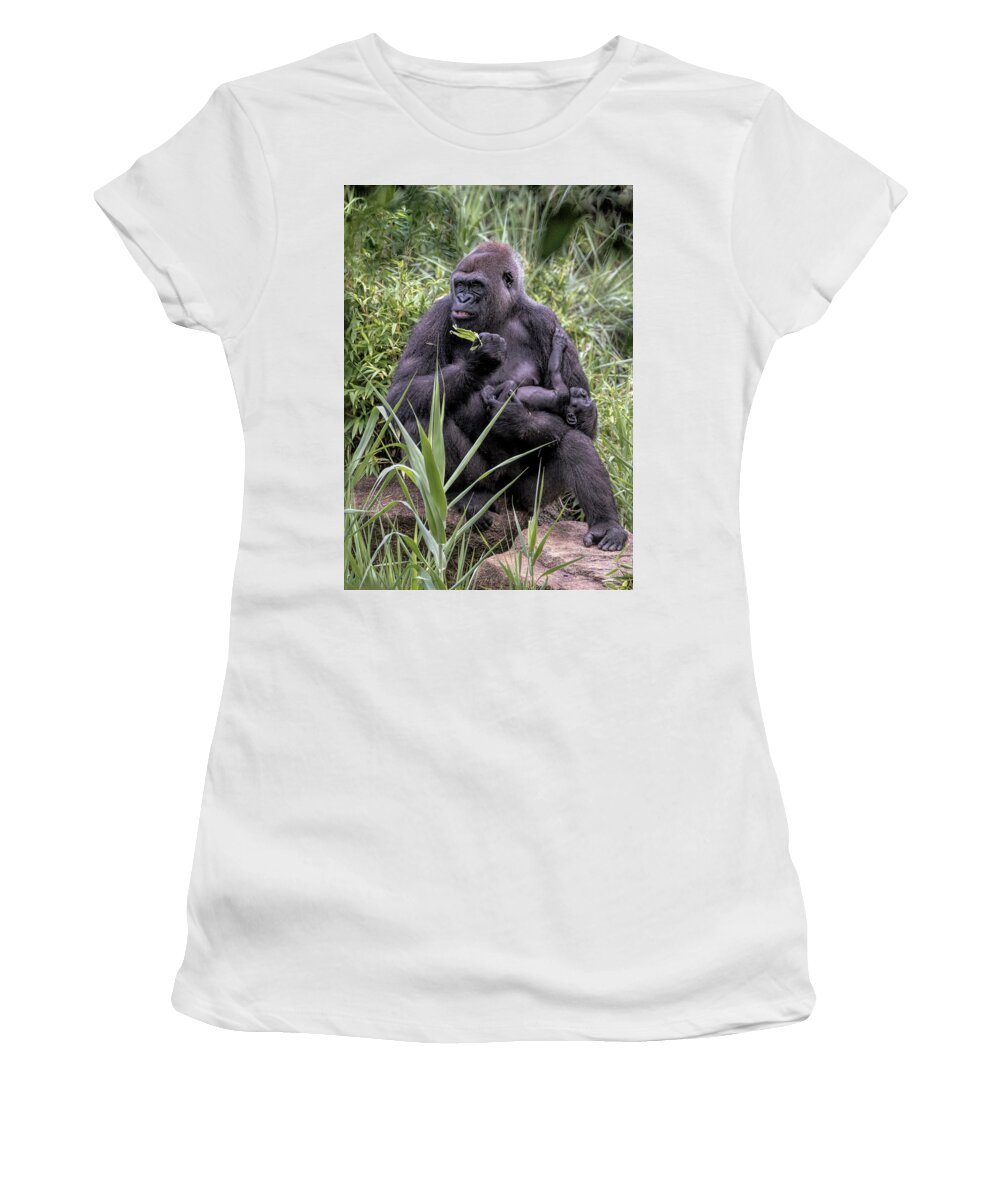 Mammals Women's T-Shirt featuring the photograph Proud Mama Silverback 6243 by Donald Brown