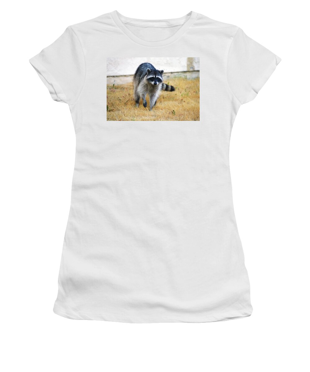 Racoon Women's T-Shirt featuring the photograph Racoon by Anthony Jones